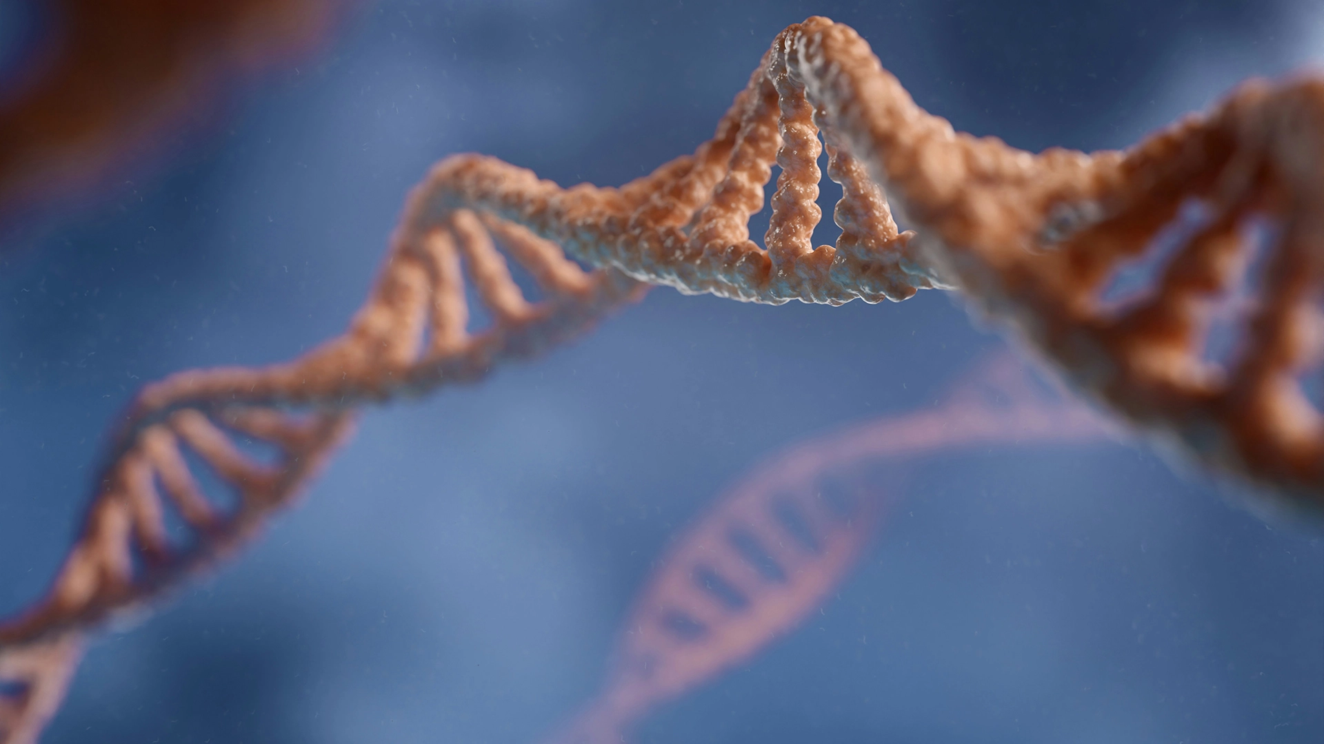 La Piattaforma di Dati Genetici OpenSNP si Chiuder&agrave; a Causa di Preoccupazioni sulla Privacy dei Dati