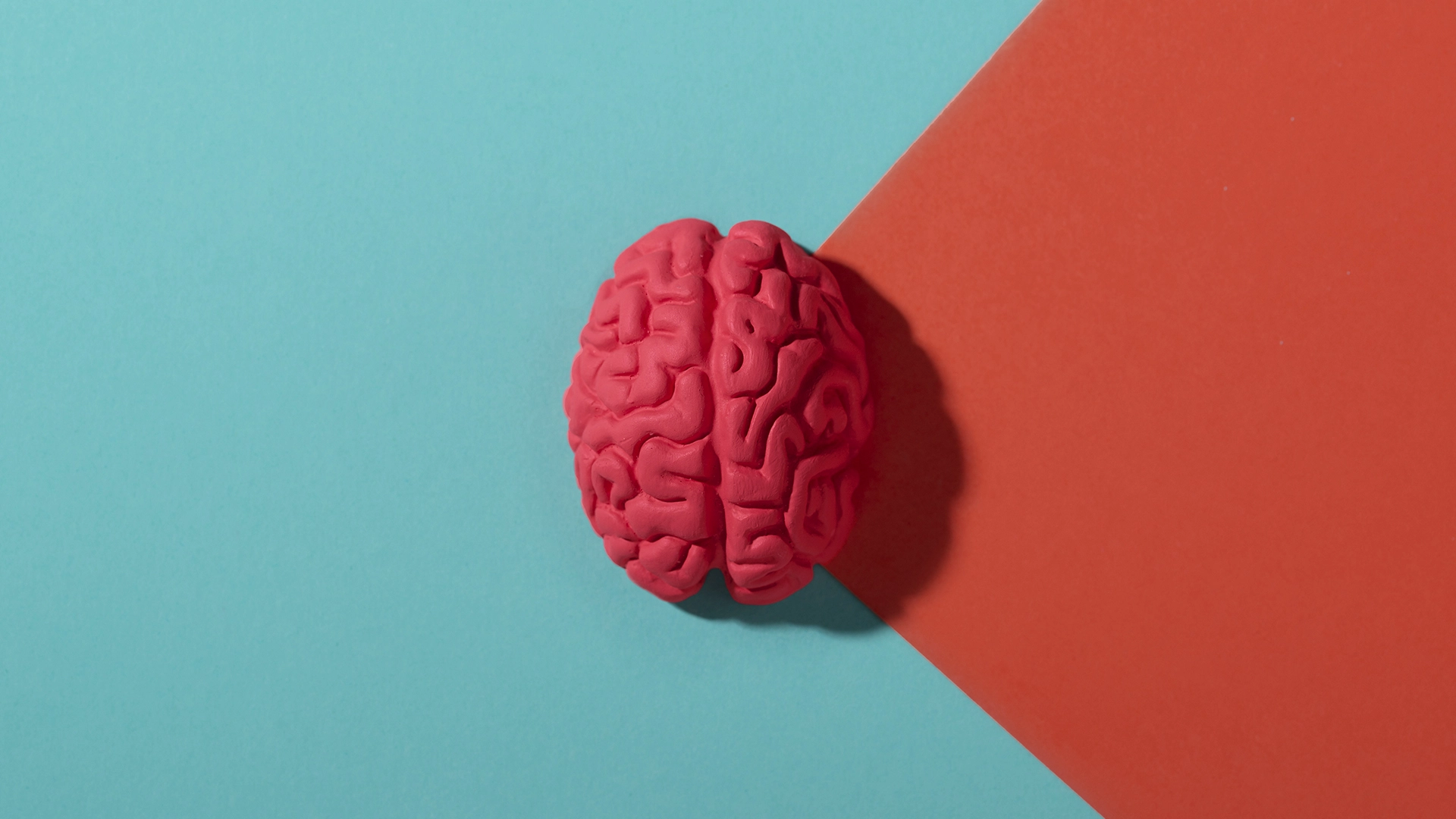 L&rsquo;Intelligenza Artificiale da Mente-a-Discorso Traduce le Onde Cerebrali in Parole